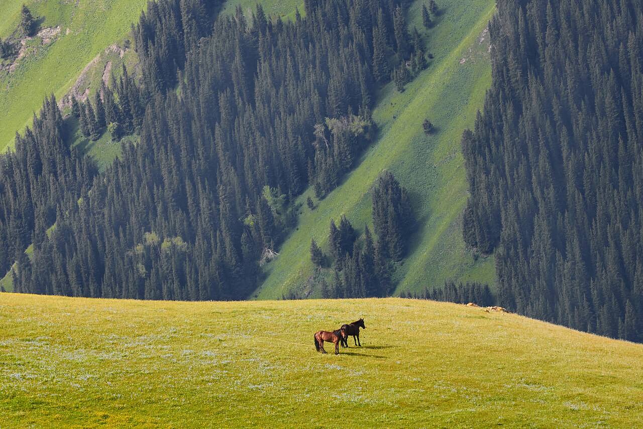 新疆，一眼万年，探寻新疆之美🌿🏔️